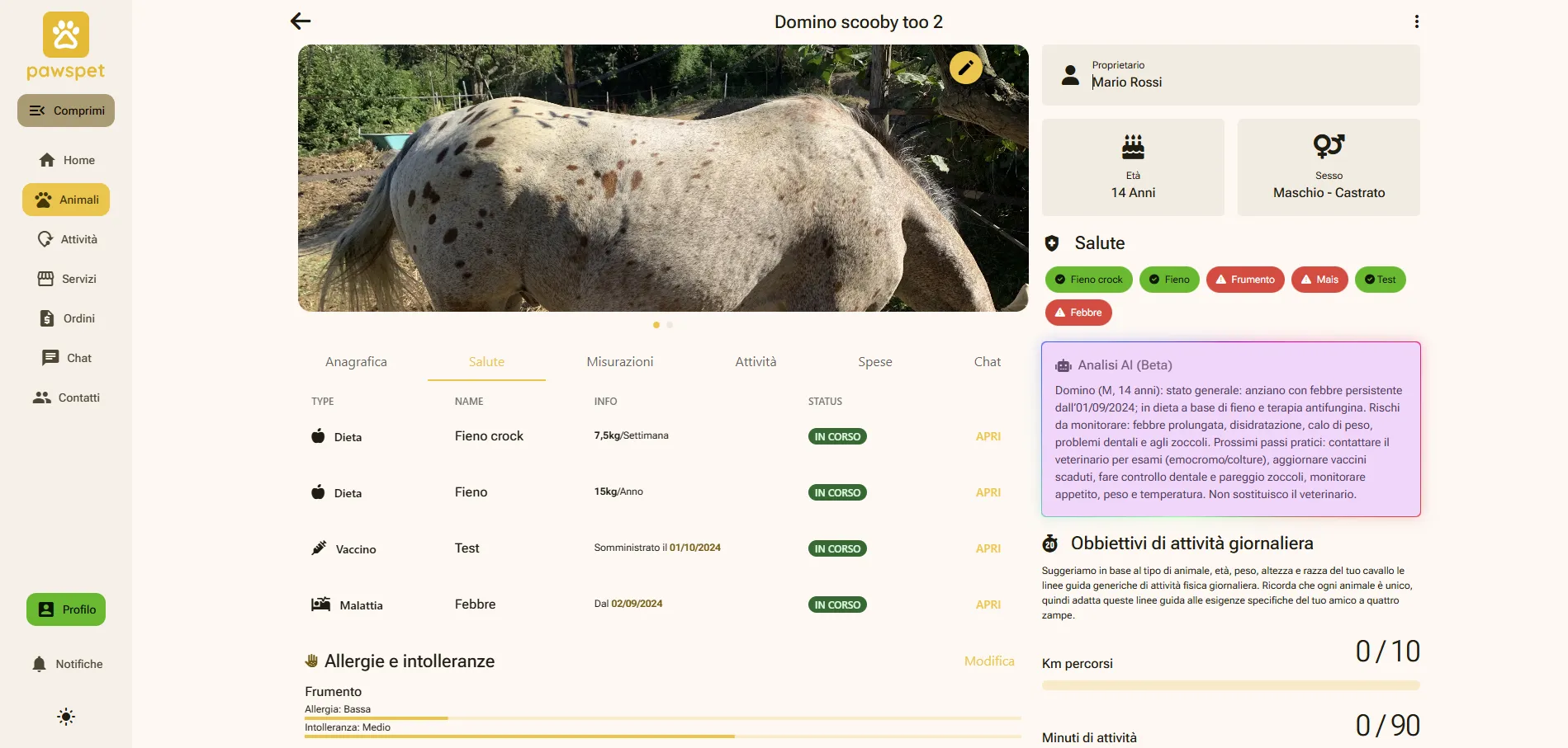 PawsPet – Give rescued animals a digital home