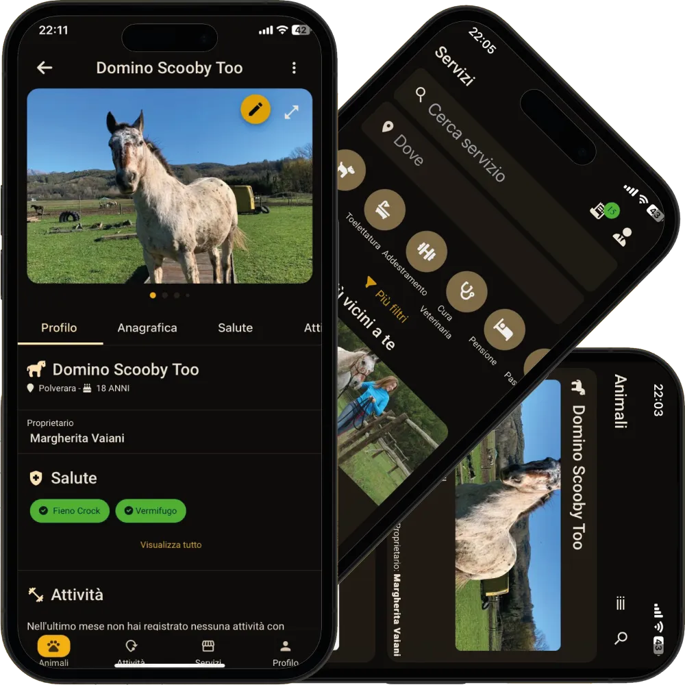 PawsPet App Mockup